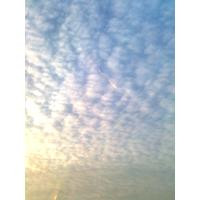 Thumb fd2d80757cc09964