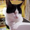 Thumb 5f6898ec3b454a63