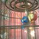 Thumb d453be32cb28f3c7