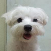 Thumb e1289cdb76135e26