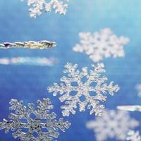Thumb 74bfb5517c212a59