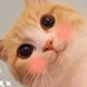 Thumb 7a5be8efd02f2436