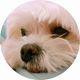 Thumb 904a2397d3157327