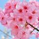 Thumb 661c059308cb673e