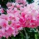 Thumb 41bbca486c9d270c