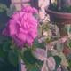 Thumb 6133f458d95ca71b
