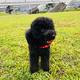 Thumb f8311104635aa4b3