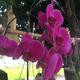 Thumb 20618d3d923508cd