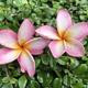 Thumb b8a0439155468fc4