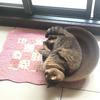 Thumb 04ef25bf766c91c9