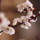 Thumb c1a5744382b93ac5