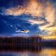 Thumb 94870a57e787ca6a