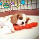 Thumb e443b01cf5c92010