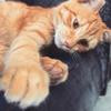 Thumb 83505bd9c7dfa095