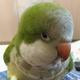 Thumb 5aaf559d71f734f2