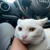 Thumb c4b855a50e8eca9f