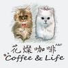 Thumb 55f18f7bbb2004b6