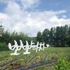 Thumb 29ddba5a7000ccba