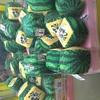 Thumb c02771fec510ae44
