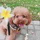 Thumb a05d0e3b7952212a