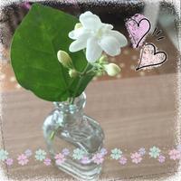 Thumb f4b6ac3ffc694b15