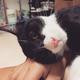 Thumb 491d794e804ea654