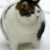 Thumb 6bec336ea2312c91