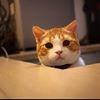 Thumb 684196b87efa4216