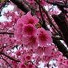 Thumb b99031169ec7f31c