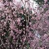 Thumb 2a669c223dfbc5f9