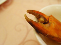 Thumb d538d16d33d74237
