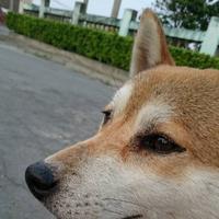 Thumb 80139b0ef9223700