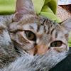 Thumb dc220463219ae1b6
