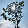 Thumb 93159d2c0685a252
