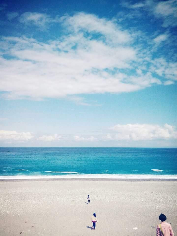 樺