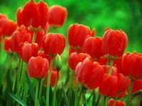 Thumb 6475758dcc2c8f26