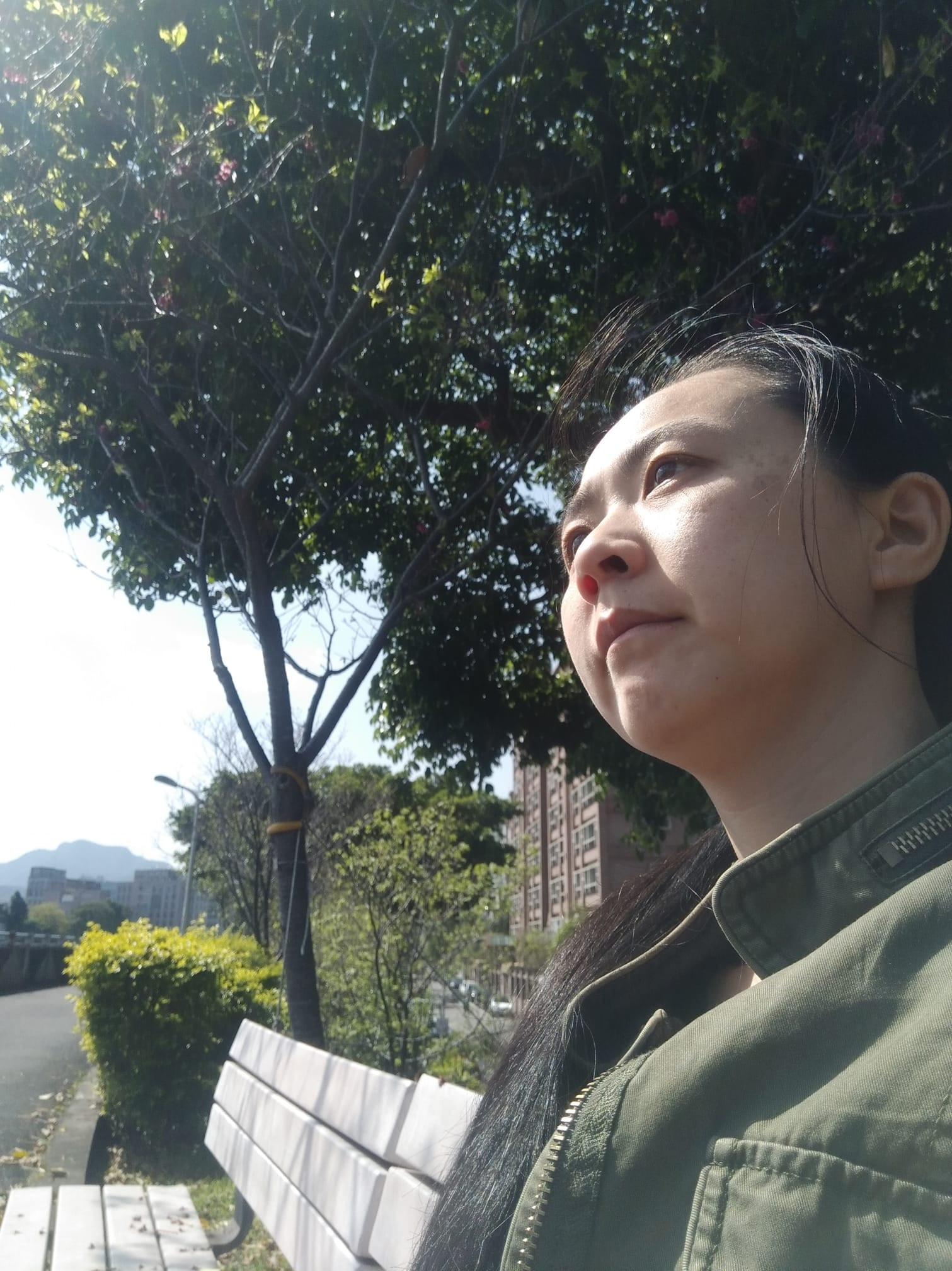 逸甄