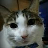 Thumb 0d6ec20c52165f92
