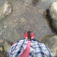 Thumb b39db249ab180928