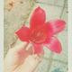 Thumb 951b9b3eb8dc013e