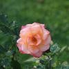 Thumb 11b6f4e782a05042