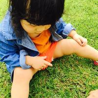 Thumb f43ff5183f1bd3ac