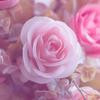 Thumb c6738972ecae06f6