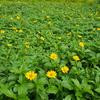 Thumb a64155dd6eb5ca47