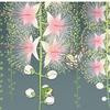 Thumb c152cb30ecd2d8cd