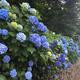 Thumb a7f28813cb159817