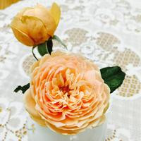 Thumb b414a017d6c26dcb
