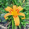 Thumb ca912b8b5c92d273