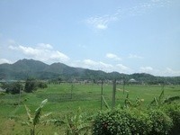 Thumb b6884906f0ffc48b
