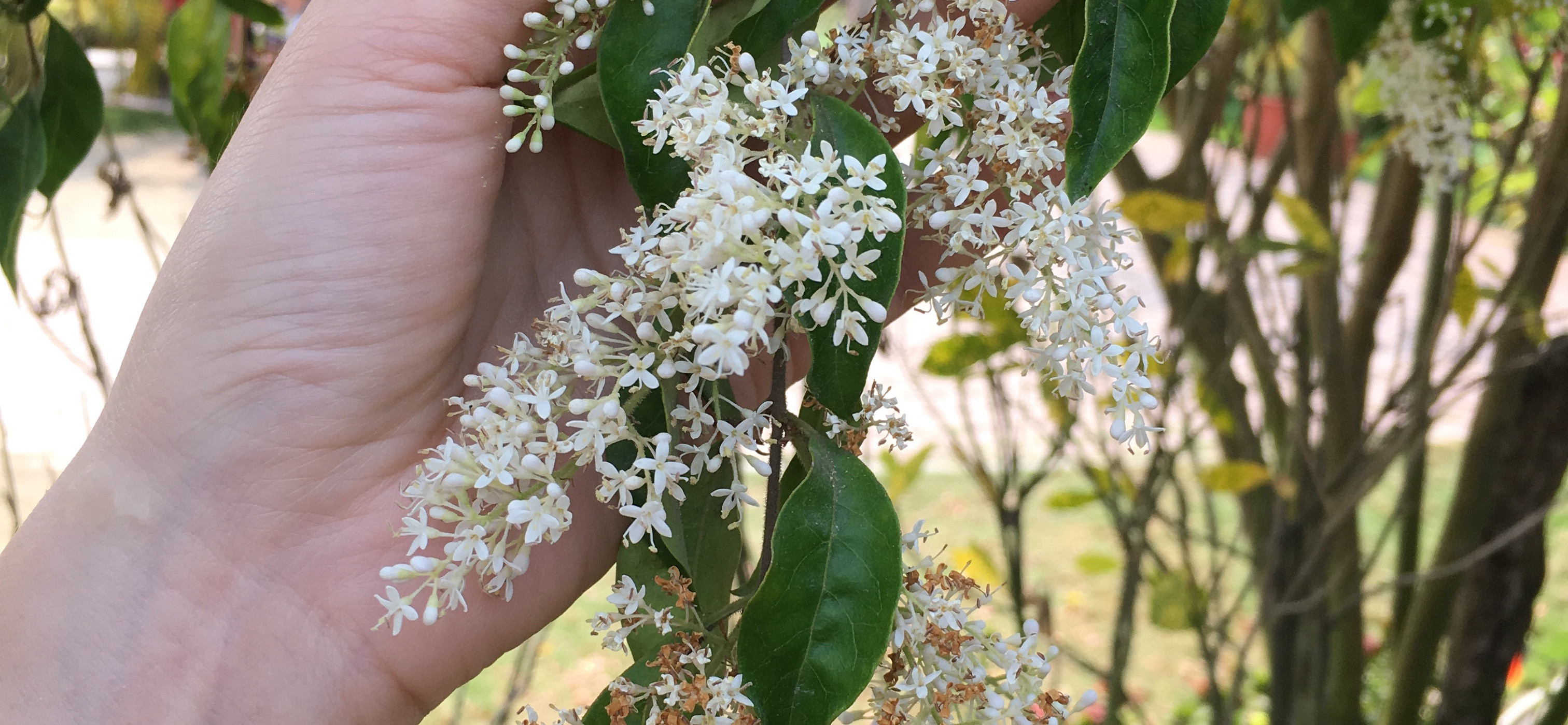 茶馥煮食 的個人封面
